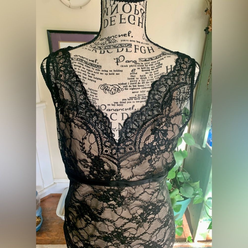 Ann Taylor Loft Lace Camisole - Picture 4 of 7